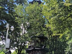 -上海佘山国家森林公园天马山园