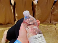 -广交会威斯汀酒店