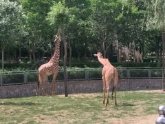 -石家庄市动物园