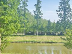 -黄海国家森林公园