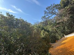 -福州开元寺