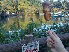 -井之头恩赐公园