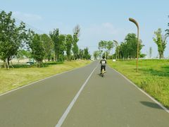 -白鹭湾湿地公园