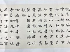 -阿妮亚少儿美术书法(望京店)