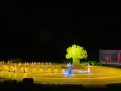 -鼎盛王朝康熙大典实景演出