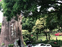 -青青世界