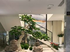 -碧丽宫大酒店(召稼楼店)