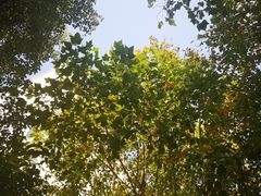 -上海第二工业大学(金海路校区)
