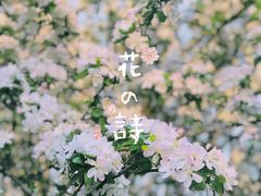 -水西公园
