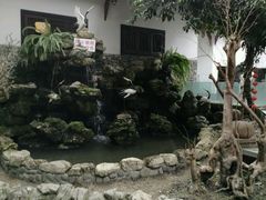 -郫都区农科村景区
