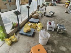 -马陆小张葡萄园农家乐