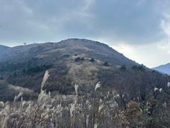 -浙西天池景区