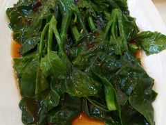 -新梅园不夜粥(龙华店)