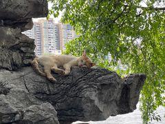 -荔湾湖公园