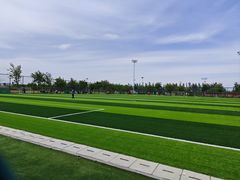 -瀛海足球主题公园