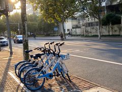 -上海市世外小学