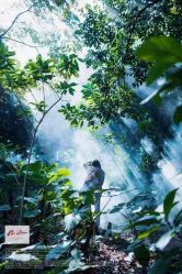 -GO VISION 动视觉婚纱摄影高级定制