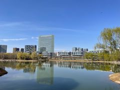 -大兴滨河森林公园