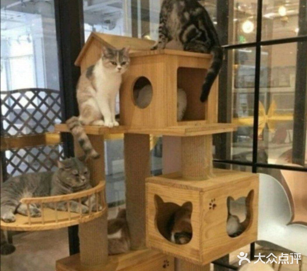 六一带宝宝必打卡去处‖宠物主题亲子体验馆
