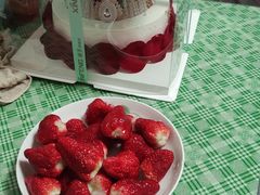 -新丰蛋糕(百花路总店)