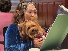 -蝶园·装修中(BFC外滩金融中心店)