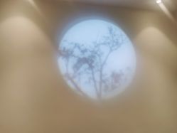 -TTNAIL天天美甲