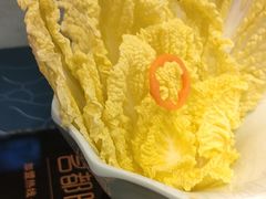 -名都晓荷塘(涿州店)
