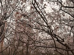 -太阳宫公园