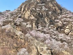 -龙泉峪长城