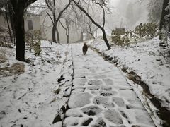 -四明山国家森林公园
