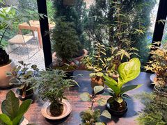 -自由生长植物工作室(深港花卉中心店)
