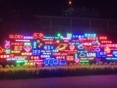 -锦江乐园舞狸花花游园会(夜场专享)