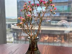 -新梅华(星悦汇店)