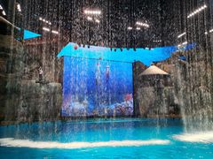 -芜湖新华联大白鲸海洋公园