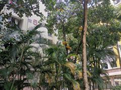 -华南师范大学(广州大学城校区)