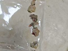 -嘉馨宠物医院·CT影像转诊·心脏科·犬猫全科诊疗中心(下沙大学城院区)