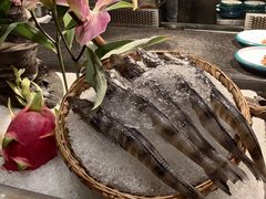 -半岛翡丽海鲜自助餐厅(观风亭店)