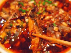 -铁公鸡·四川料理(天环广场店)