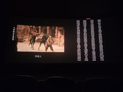 -万达影城(江北万达广场IMAX店)