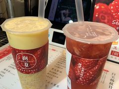 -树夏(建设路店)