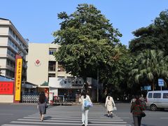 -南宁南湖公园