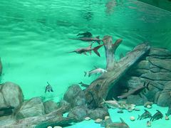 -常州海昌海洋探索馆
