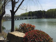 -昆山城市生态森林公园