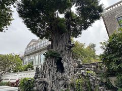 -荔湾湖公园