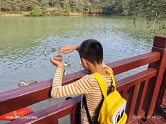 -广州白江湖森林公园