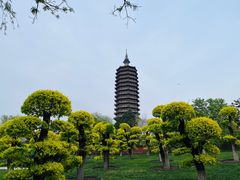 -西海子公园