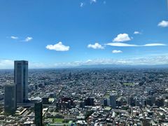 -东京都厅舍