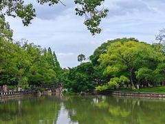 -江心屿景区