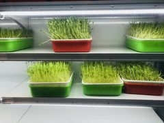 -番食园鲜食火锅(高新店)