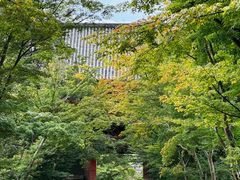 -醍醐寺